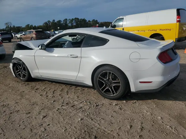 1FA6P8TH8K5172164 2019 FORD MUSTANG - Image 2