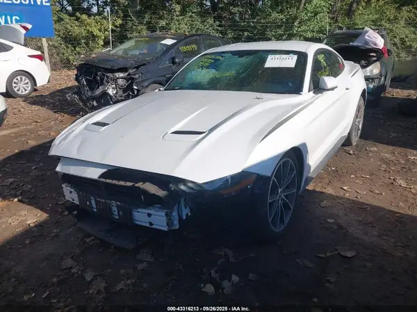 1FA6P8TH8K5182578 2019 FORD MUSTANG - Image 2