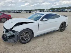 1FA6P8TH8K5184895 2019 FORD MUSTANG