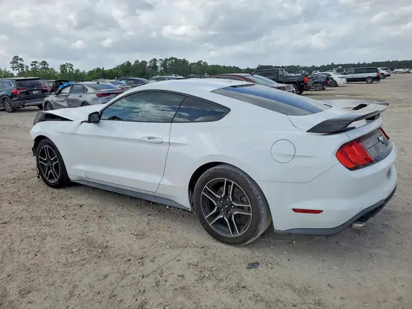 1FA6P8TH8K5184895 2019 FORD MUSTANG - Image 2