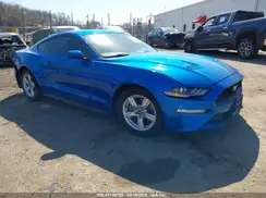 1FA6P8TH8K5185206 2019 FORD MUSTANG