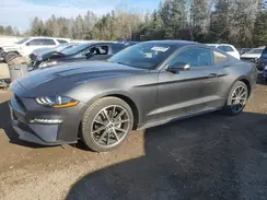 1FA6P8TH8K5188929 2019 FORD MUSTANG