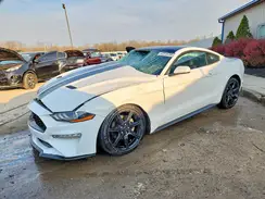 1FA6P8TH8K5194293 2019 FORD MUSTANG
