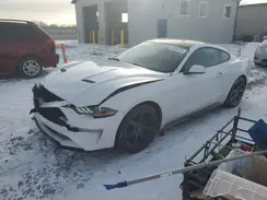 1FA6P8TH8K5195900 2019 FORD MUSTANG