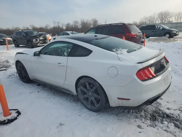 1FA6P8TH8K5195900 2019 FORD MUSTANG - Image 2