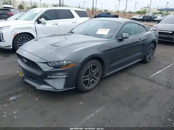 1FA6P8TH8K5197825 2019 FORD MUSTANG - Image 2