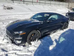 1FA6P8TH8K5201467 2019 FORD MUSTANG