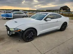 1FA6P8TH8K5201534 2019 FORD MUSTANG