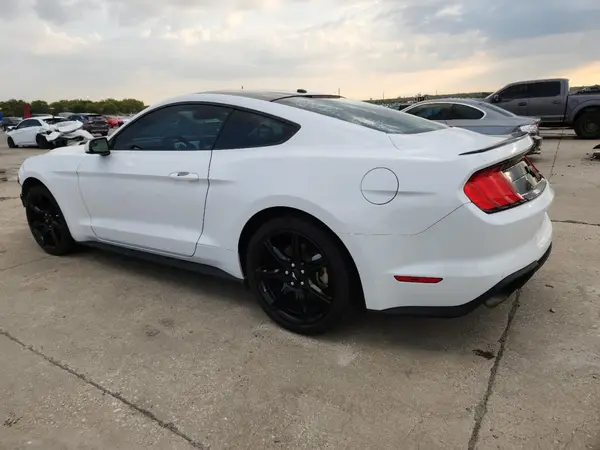 1FA6P8TH8K5201534 2019 FORD MUSTANG - Image 2