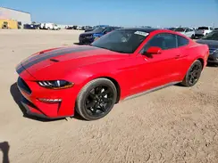 1FA6P8TH8K5202523 2019 FORD MUSTANG