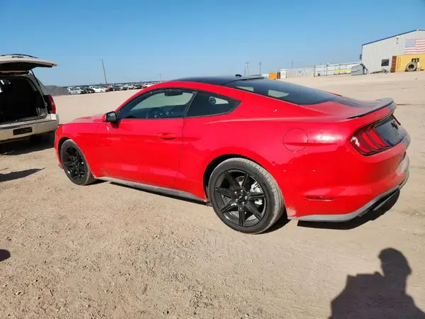 1FA6P8TH8K5202523 2019 FORD MUSTANG - Image 2