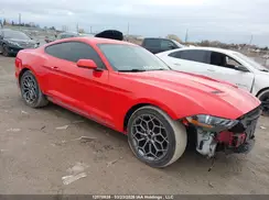 1FA6P8TH8K5203591 2019 FORD MUSTANG
