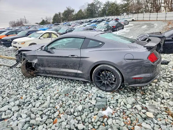 1FA6P8TH8K5203770 2019 FORD MUSTANG - Image 2