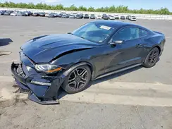 1FA6P8TH8L5103959 2020 FORD MUSTANG