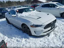 1FA6P8TH8L5139070 2020 FORD MUSTANG
