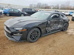 1FA6P8TH8M5150281 2021 FORD MUSTANG