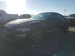 1FA6P8TH8P5104731 2023 FORD MUSTANG