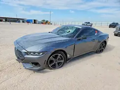 1FA6P8TH8R5100469 2024 FORD MUSTANG