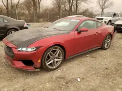 1FA6P8TH8R5108376 2024 FORD MUSTANG
