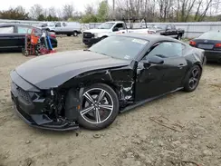 1FA6P8TH8R5111195 2024 FORD MUSTANG