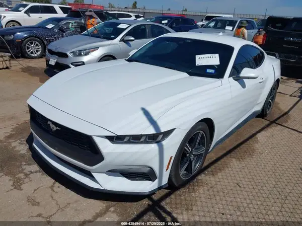 1FA6P8TH8R5112993 2024 FORD MUSTANG - Image 2