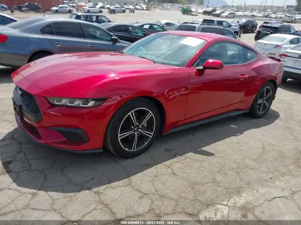1FA6P8TH8R5113951 2024 FORD MUSTANG - Image 2