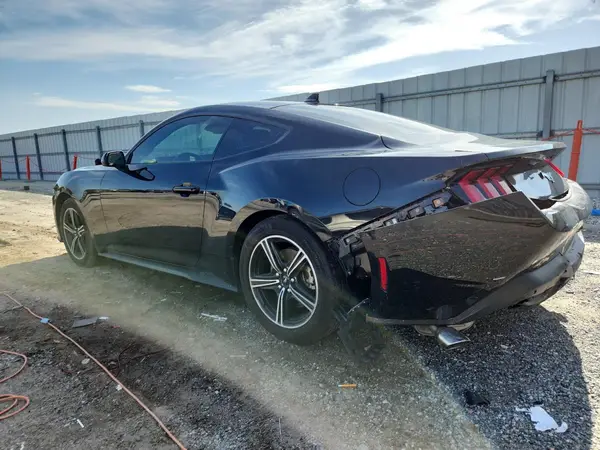 1FA6P8TH8R5114033 2024 FORD MUSTANG - Image 2