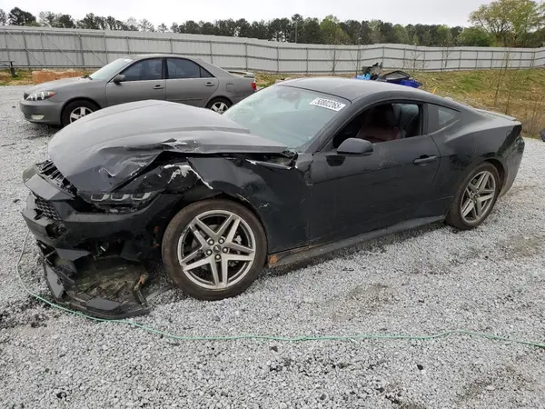 1FA6P8TH8R5118552 2024 FORD MUSTANG - Image 1