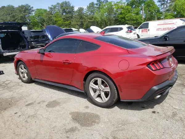 1FA6P8TH8R5118681 2024 FORD MUSTANG - Image 2