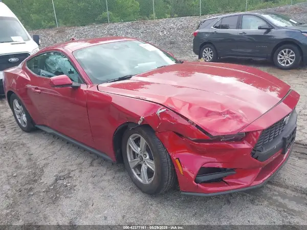 1FA6P8TH8R5122097 2024 FORD MUSTANG - Image 1