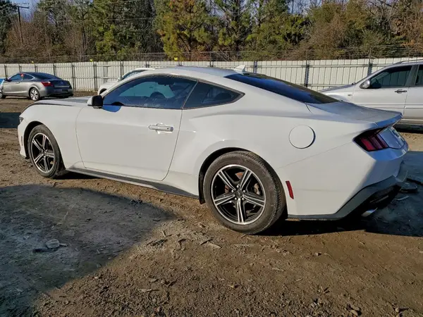 1FA6P8TH8R5125792 2024 FORD MUSTANG - Image 2
