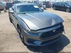 1FA6P8TH8R5126117 2024 FORD MUSTANG