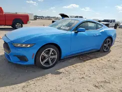 1FA6P8TH8R5134184 2024 FORD MUSTANG