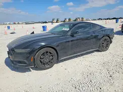 1FA6P8TH8S5103359 2025 FORD MUSTANG