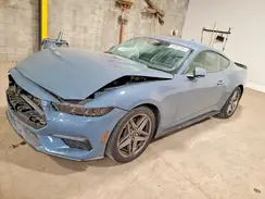 1FA6P8TH8S5128486 2025 FORD MUSTANG
