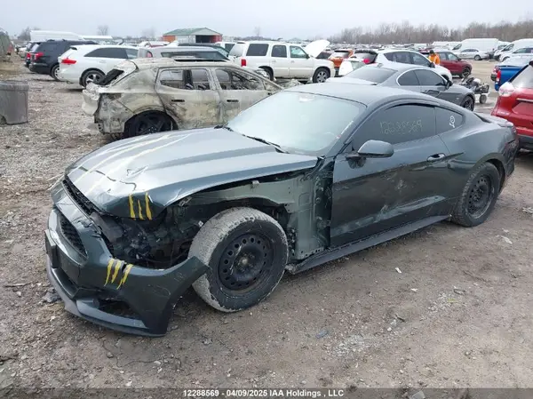 1FA6P8TH9G5200318 2016 FORD MUSTANG - Image 2