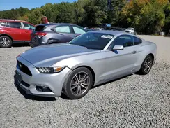 1FA6P8TH9G5304954 2016 FORD MUSTANG