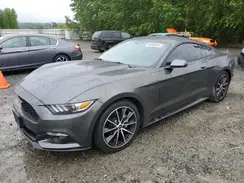 1FA6P8TH9H5299434 2017 FORD MUSTANG
