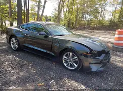 1FA6P8TH9J5126146 2018 FORD MUSTANG