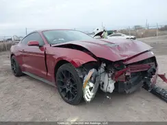 1FA6P8TH9K5102706 2019 FORD MUSTANG