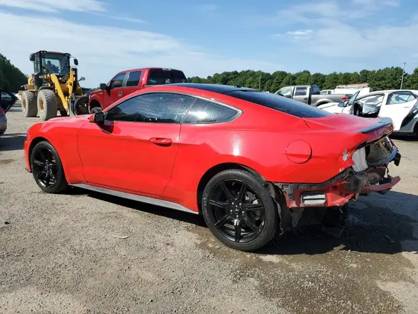 1FA6P8TH9K5103905 2019 FORD MUSTANG - Image 2