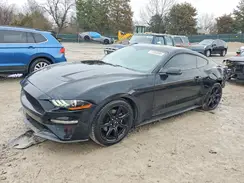1FA6P8TH9K5105587 2019 FORD MUSTANG