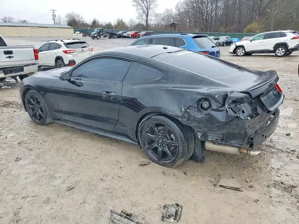 1FA6P8TH9K5105587 2019 FORD MUSTANG - Image 2