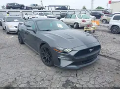1FA6P8TH9K5111485 2019 FORD MUSTANG