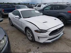 1FA6P8TH9K5124365 2019 FORD MUSTANG