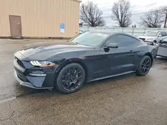 1FA6P8TH9K5125869 2019 FORD MUSTANG