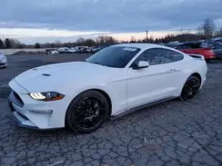 1FA6P8TH9K5125967 2019 FORD MUSTANG