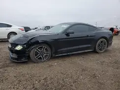 1FA6P8TH9K5130232 2019 FORD MUSTANG