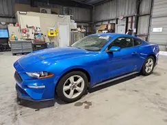 1FA6P8TH9K5130604 2019 FORD MUSTANG