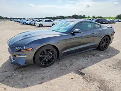 1FA6P8TH9K5131915 2019 FORD MUSTANG